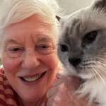 Debbie Collins Profile Picture