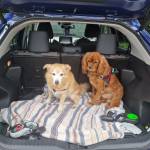 Theoandbobbi Profile Picture