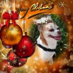 QUINN Profile Picture