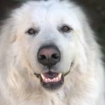 Becca Profile Picture